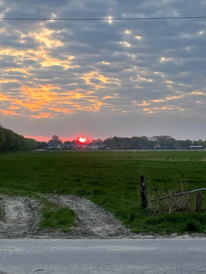 Schlafen neben den kleinen Kälbchen im Kälberiglu Bingum Exterior foto
